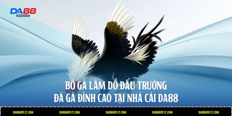 Đá Gà Da88 - Sảnh Cược Trực Tiếp Đỉnh Cao Và Uy Tín - Vexin