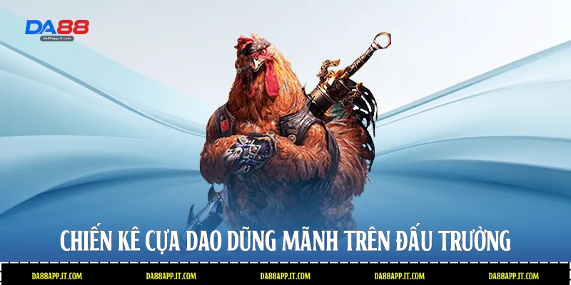 Đá Gà Phi Tại Da88 - Đấu Trường Cựa Dao Đẳng Cấp Quốc Tế - Vexin