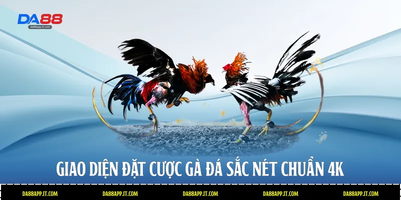 Đá Gà Da88 - Sảnh Cược Trực Tiếp Đỉnh Cao Và Uy Tín - Vexin