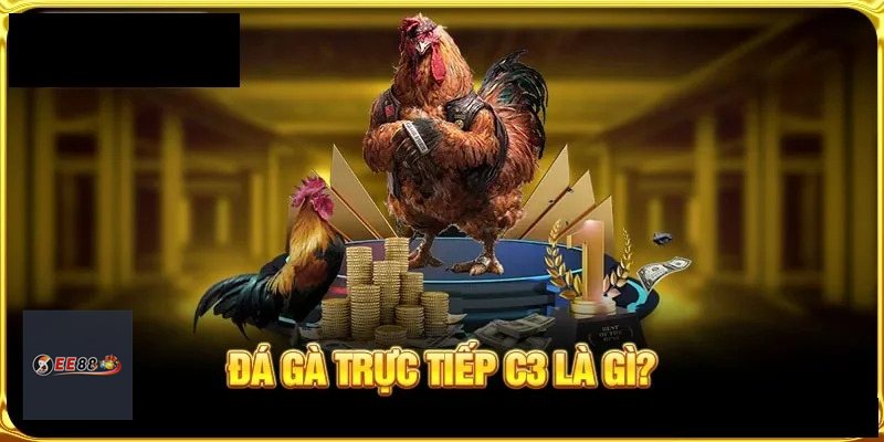 Đá Gà Online MM88: Cách Chơi, Đọc Kèo Và Kinh Nghiệm - Vexin