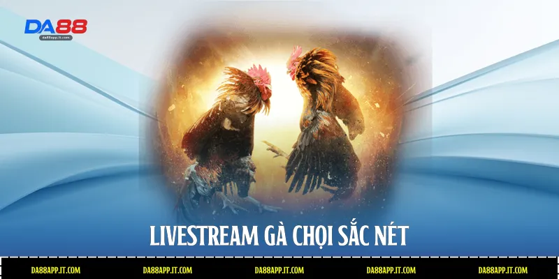 Đá Gà Phi Tại Da88 - Đấu Trường Cựa Dao Đẳng Cấp Quốc Tế - Vexin