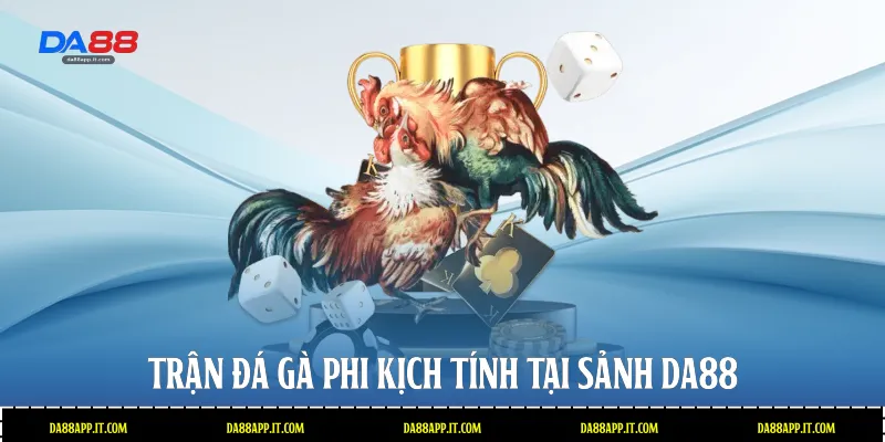 Đá Gà Phi Tại Da88 - Đấu Trường Cựa Dao Đẳng Cấp Quốc Tế - Vexin